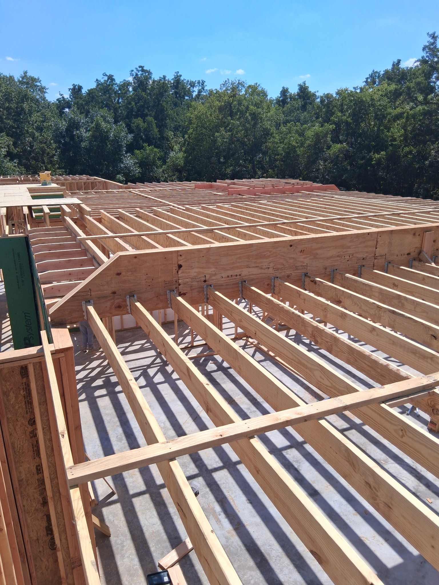 Floor joists and beams framed above a residential foundation